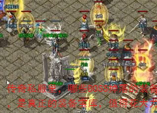 ����˽�����ЩBOSS�����װ���Ʒ����������װ�����⣬ֵ�û�������ȥ��