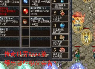 ��������Boss�ܱ�����Щ��Ʒװ����