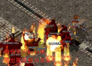 ��������Boss�ܱ�����Щ��Ʒװ����