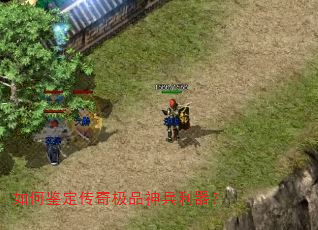 ��μ������漫Ʒ���������