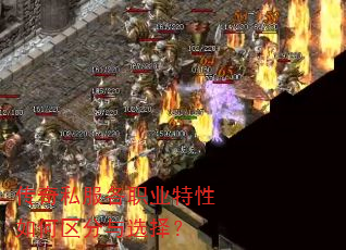 ����˽����ְҵ�������������ѡ��