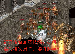 �¿�����SF����������θ�Ч��ѡ���֣�����ʤ�ʣ�