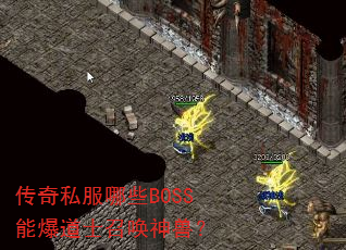 ����˽����ЩBOSS�ܱ���ʿ�ٻ����ޣ�