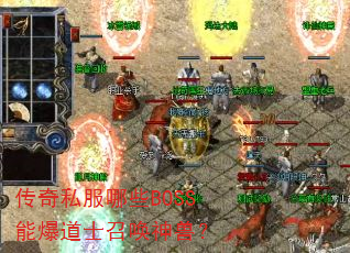 ����˽����ЩBOSS�ܱ���ʿ�ٻ����ޣ�