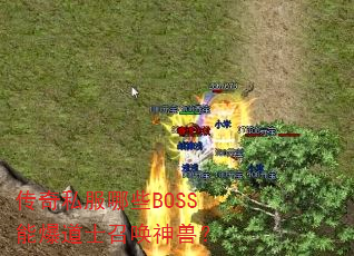 ����˽����ЩBOSS�ܱ���ʿ�ٻ����ޣ�