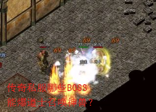 ����˽����ЩBOSS�ܱ���ʿ�ٻ����ޣ�