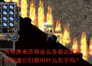 ����ԭ��������ô�༫Ʒ��������֪�����Ƕ���ʲô������