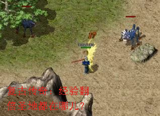 ���Ŵ��棺���鷭��ʥ�ض����Ķ���