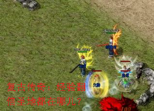 ���Ŵ��棺���鷭��ʥ�ض����Ķ���