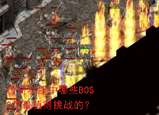����˽������ЩBOSS����ֵ����ս�ģ�