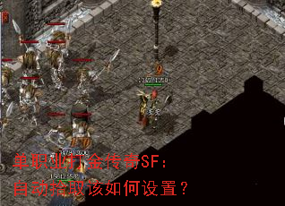 ��ְҵ�����SF���Զ�ʰȡ��������ã�