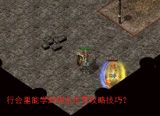 �л�����ѧ����Щ���湥�Լ��ɣ�