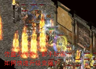 ��ʢ���棺���������ο���������ǿ��
