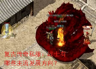 ���Ŵ���˽����սʿ����Щ������չ����