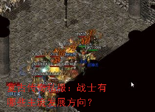���Ŵ���˽����սʿ����Щ������չ����