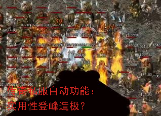 ����˽���Զ����ܣ�ʵ���ԵǷ��켫��