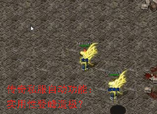 ����˽���Զ����ܣ�ʵ���ԵǷ��켫��