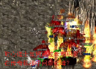 ���ĵ�ʿ���ͨ�����ڻ����ڴ���˽�����ʶ��۷壿