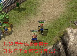 1.80����˽���ϵ�ʿ����������θ�Ч��ɣ�