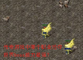 ������Ϸ���ĸ�ְҵ��������boss������ǿ��