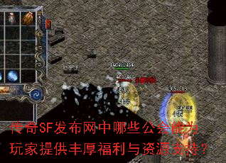 ����SF����������Щ������Ϊ����ṩ���������Դ֧�֣�