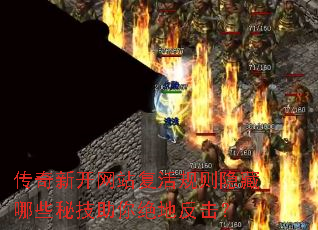 �����¿���վ�������������Щ�ؼ�������ط�����