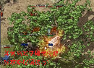 ��θ�Ч���մ�����Ϸ�����ھ��ɣ�