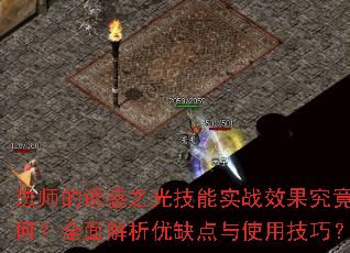��ʦ���ջ�֮�⼼��ʵսЧ��������Σ�ȫ�������ȱ����ʹ�ü��ɣ�