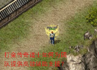 ������ʿ���Ϊ�Ŷ��ṩ��Ч����֧Ԯ��