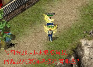 ����˽��sabakץȡ�������⼰��Ч�����������Щ��