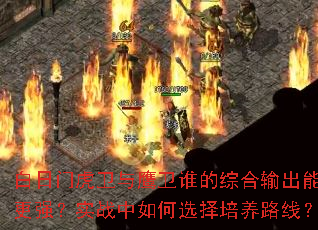 �����Ż�����ӥ��˭���ۺ����������ǿ��ʵս�����ѡ������·�ߣ�