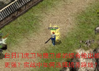 �����Ż�����ӥ��˭���ۺ����������ǿ��ʵս�����ѡ������·�ߣ�
