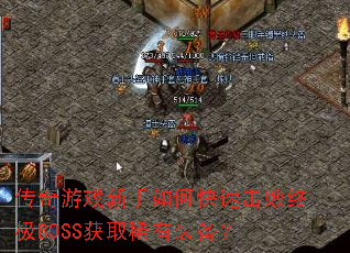 ������Ϸ������ο��ٻ����ռ�BOSS��ȡϡ��װ����