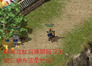 �ɻ귨���ٻ�������ʿ����ȷ������ʲô��