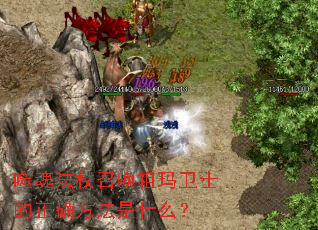 �ɻ귨���ٻ�������ʿ����ȷ������ʲô��