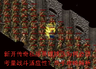 �¿�����˽��Ӣ����ѡΪ�α��뿼��ս����Ӧ�ԣ����ֹ��Խ���
