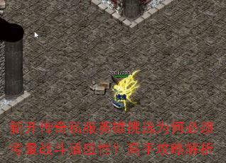 �¿�����˽��Ӣ����ѡΪ�α��뿼��ս����Ӧ�ԣ����ֹ��Խ���