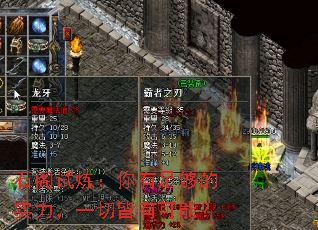 ʯ�������������㹻��ʵ����һ�н��п��ܣ�
