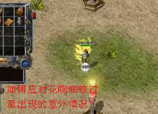���Ӧ�Ի���֩��������ֵ����������