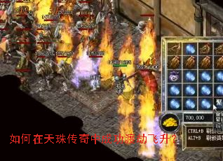 ��������鴫���гɹ��ɽٷ�����