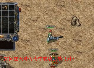 ��������鴫���гɹ��ɽٷ�����
