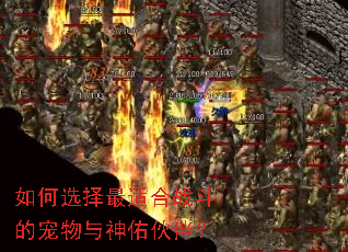 ���ѡ�����ʺ�ս���ĳ��������ӻ�飿