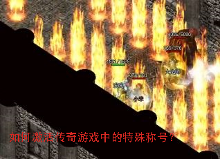 ��μ������Ϸ�е�����ƺţ�