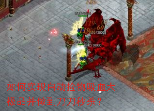 ���ʵ���Զ�������Ѫ��Ʒ������������ɱ��