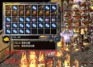 �����ʿְҵ��γ�Ϊ�Ŷ��е�����ͣ�