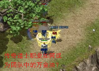 �����ʿְҵ��γ�Ϊ�Ŷ��е�����ͣ�