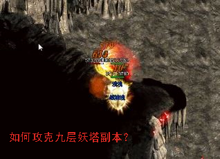 ��ι��˾Ų�����������