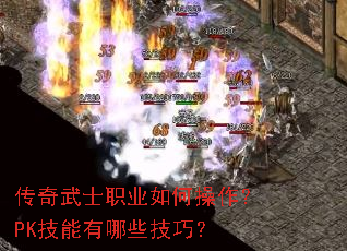 ������ʿְҵ��β�����PK��������Щ���ɣ�
