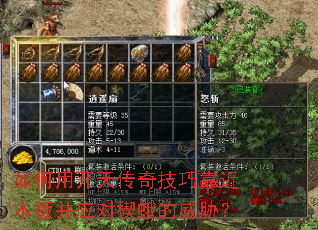 ����ÿ��촫�漼�ɿ���ľ�岢Ӧ��Ш�����в��