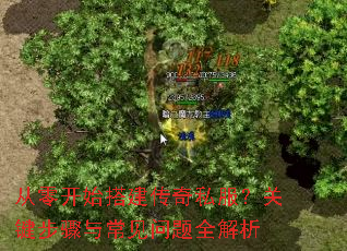 ���㿪ʼ�����˽�����ؼ������볣������ȫ����